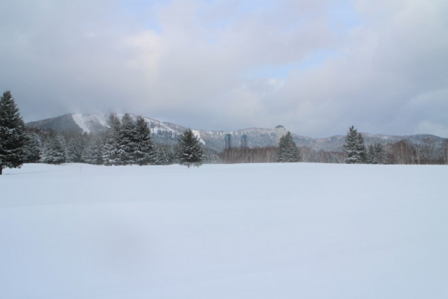 魅力4:スキーだけじゃない!雪を満喫する多様なアクティビティ