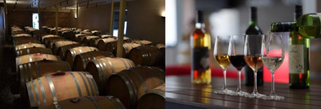 無料アクティビティーを利用してワイナリツアーへ