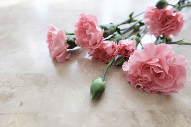 2022年母の日プレゼント 中川政七商店限定カラーで新様式の花のギフトを贈ろう - まっぷるトラベルガイド