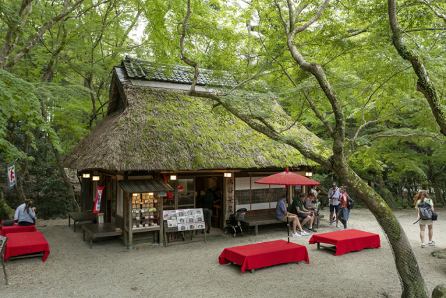 【奈良公園のランチ&カフェスポット】水谷茶屋(春日大社から徒歩5分)