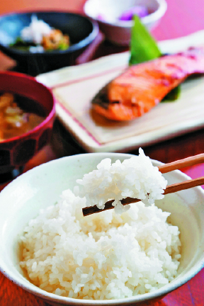 おにぎりだけじゃない!新潟ごはんご膳の名店「炭火・かまど料理竃」【新潟タウン】