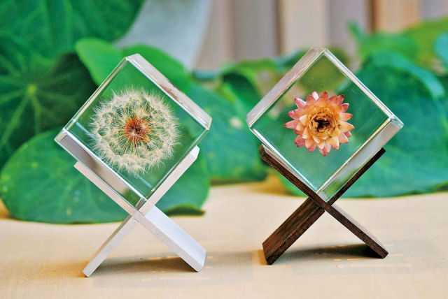 【ならまち雑貨屋さん⑪】ならの実