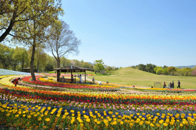 【香川の絶景スポット おすすめ10選】国営讃岐まんのう公園