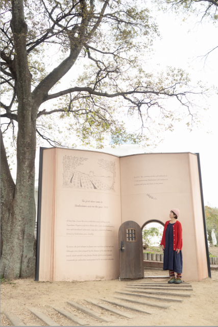 【香川の絶景スポット おすすめ10選】道の駅 小豆島オリーブ公園