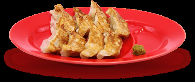 【餃子 宮崎/飲食店⑦】802GYOZA