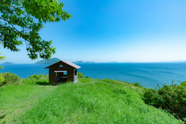 【香川の絶景スポット おすすめ10選】志々島の大楠