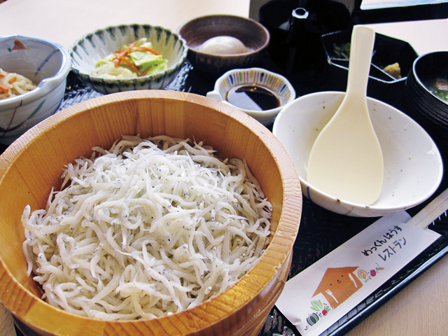 【愛知】道の駅田原めっくんはうすの人気グルメ