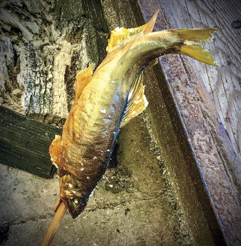 【愛知】道の駅どんぐりの里 いなぶの人気グルメ