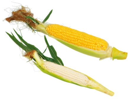 【山梨の道の駅】道の駅 とよとみのおすすめお土産