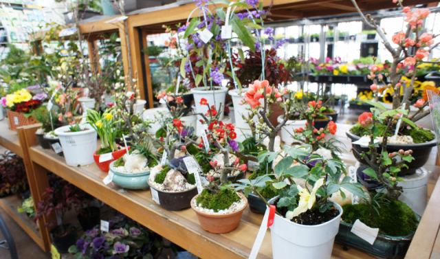 大阪で人気の道の駅「道の駅 しらとりの郷・羽曳野」