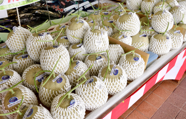 道の駅くみはまsankaikanの人気おみやげ