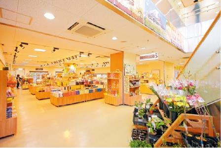 【静岡×話題の道の駅】富士山に最も近くご当地グルメも豊富「道の駅 すばしり」