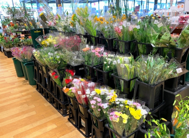 【奈良の道の駅】道の駅 かつらぎ