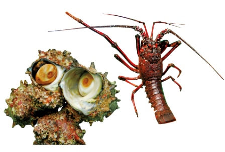 道の駅 開国下田みなとのおすすめお土産