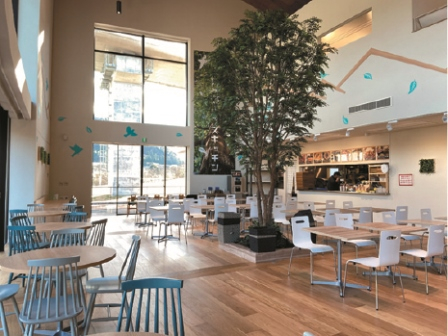 【静岡×話題の道の駅】天城の恵みを集めた中伊豆の新たな観光拠点「道の駅 伊豆月ケ瀬」