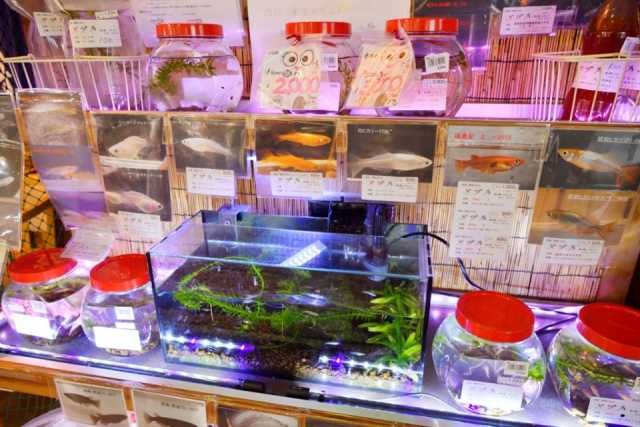 兵庫「道の駅18選」 道の駅 とうじょう