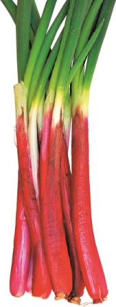 【茨城の道の駅】清流が目の前を流れる山間で名物そばを満喫「道の駅 かつら」