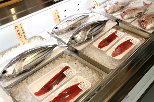 【和歌山】道の駅 すさみ