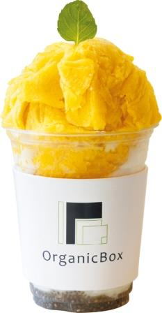 熱海銀座・渚町のカフェ 話題のお店⑥ Organic Box