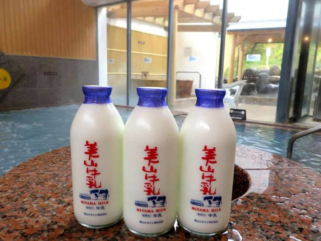 道の駅 スプリングスひよしの人気おみやげ