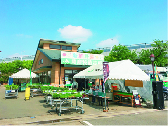 【埼玉のおすすめ道の駅】緑化に関する総合施設。植木や花、野菜が人気「道の駅 川口・あんぎょう」