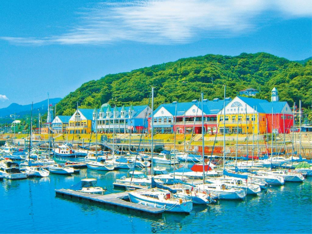 静岡の道の駅 おすすめ16選!グルメ&みやげをチェックしよう