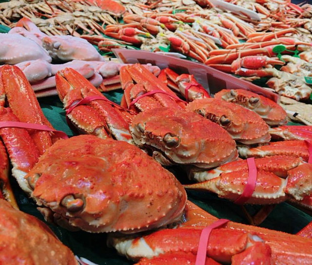 道の駅 舞鶴港とれとれセンターの人気おみやげ