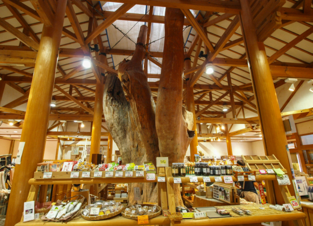 京都の道の駅「ウッディー京北」京都市