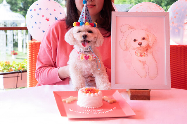 淡路島のペット可レストラン&カフェ10選 のじまスコーラ