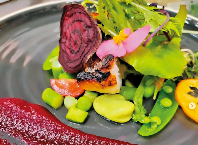 淡路島のペット可レストラン&カフェ10選 淡路島ワイナリー