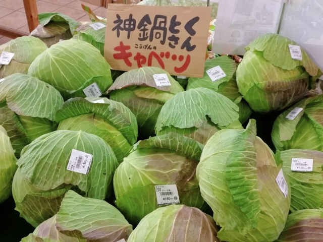 兵庫「道の駅18選」 道の駅 神鍋高原