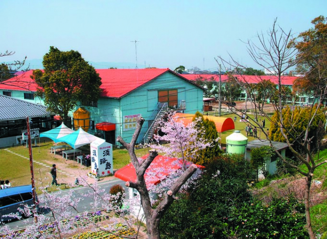 【淡路島】ペット・犬連れOKの観光スポット 淡路島牧場