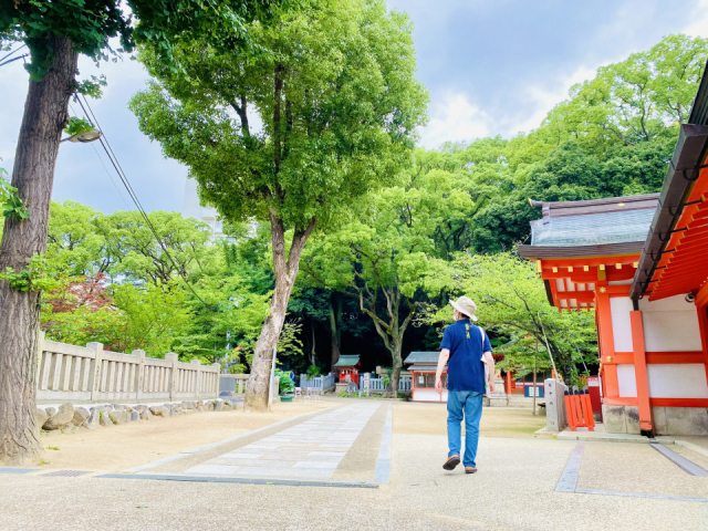 三宮周辺の由緒ある有名神社①:生田神社(いくたじんじゃ)