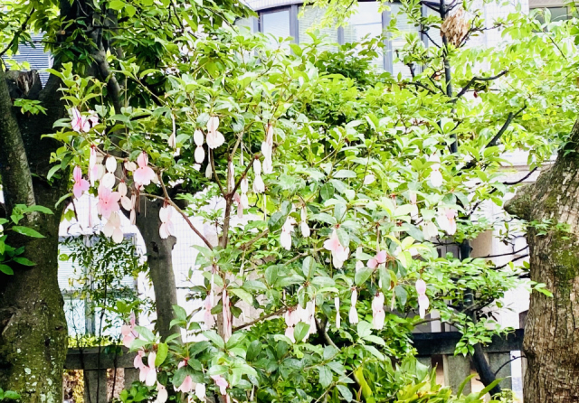 三宮周辺の神社:八社巡り① 一宮神社(いちのみやじんじゃ)