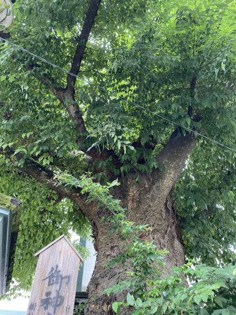 三宮周辺の神社:八社巡り② 二宮神社(にのみやじんじゃ)