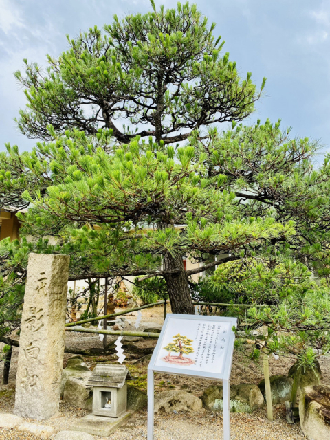 三宮周辺の由緒ある神社⑤:和田神社(わだじんじゃ)