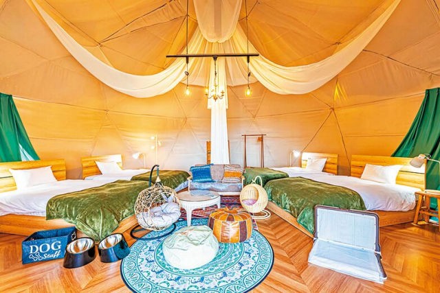 【淡路島】ペット・犬連れOKの宿泊スポット5選 グランピングテラス淡路