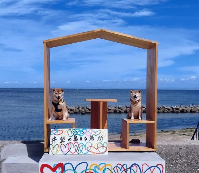 淡路島のペット可レストラン&カフェ10選 うおたけ鮮魚店やけんど 海鮮どんや