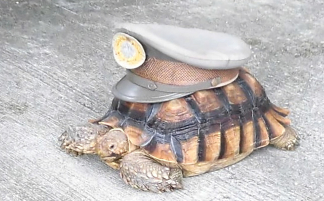 兵庫「道の駅18選」 道の駅 あまるべ