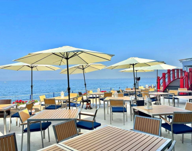 【淡路島】ペット・犬連れOKの観光スポット クラフトサーカス