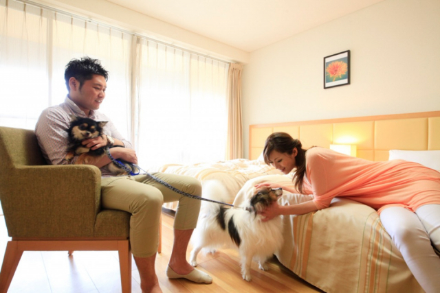 【ペットと泊まれる関西・西日本の温泉宿15選】レイセニット城崎スイートVILLA(兵庫県・こうのとり天然温泉)