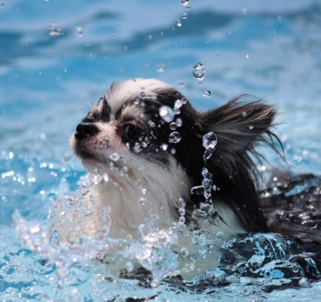 GLAMPING DIVA(京都府・宮津市)