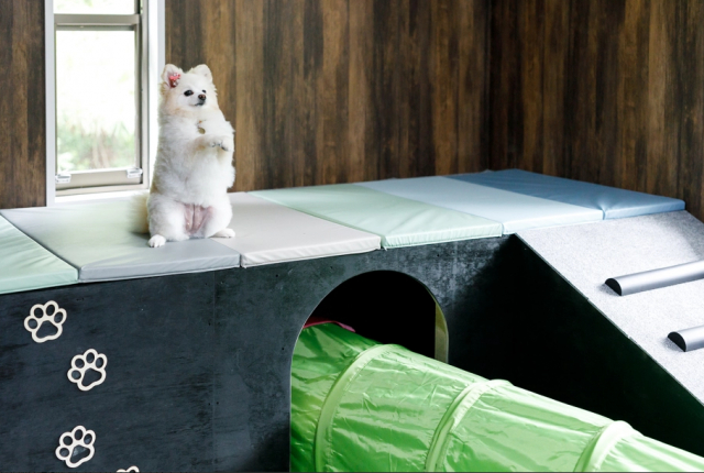 VILLA FOREST RUN(兵庫県・加東市)