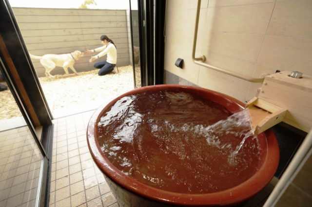 【ペットと泊まれる関西・西日本の温泉宿15選】レジーナリゾートびわ湖長浜(滋賀県・長浜太閤温泉)