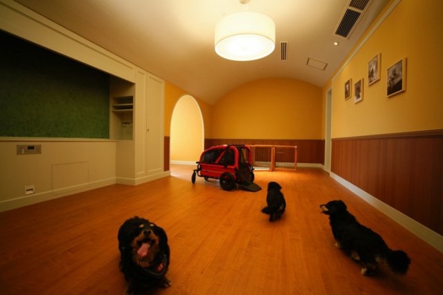 【ペットと泊まれる関西・西日本の温泉宿15選】ホテル川久(和歌山県・白浜温泉)