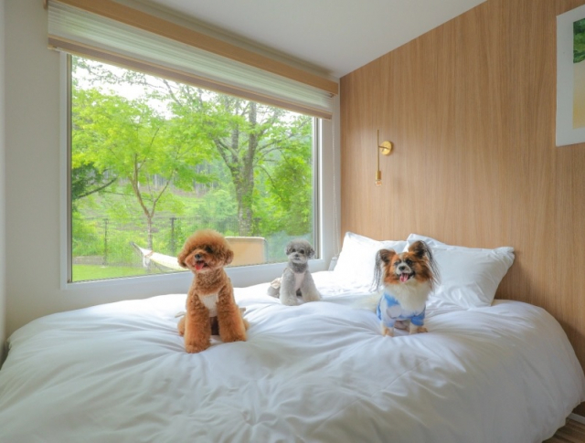 SEN.RETREAT CHIKATSUYU(和歌山県・田辺市)