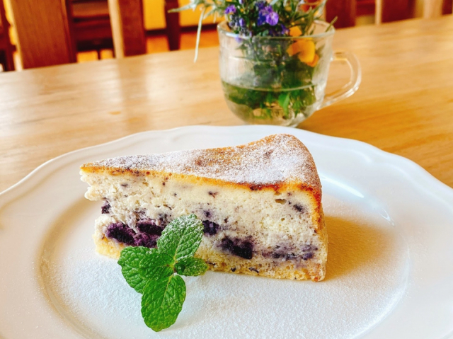 【兵庫 ペットOKのカフェ&レストラン】ガーデンレストラン風舎(兵庫・神戸市兵庫区)