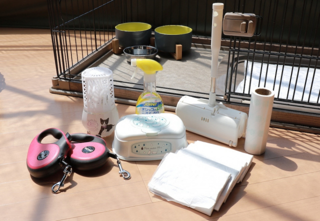 アクアヴィレッジ京都天橋立(京都府・宮津市)