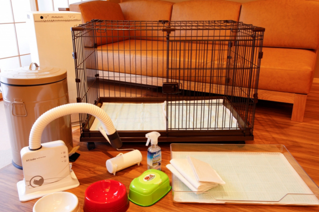 【ペットと泊まれる関西・西日本の温泉宿15選】ザ・シロヤマテラス津山別邸(岡山県・百々温泉)