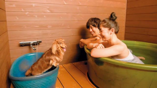 【ペットと泊まれる関西・西日本の温泉宿15選】 大江戸温泉物語わんわんリゾート 粟津(石川県・粟津温泉)